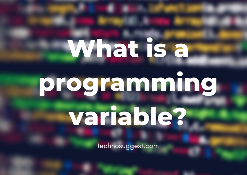 What is a programming variable