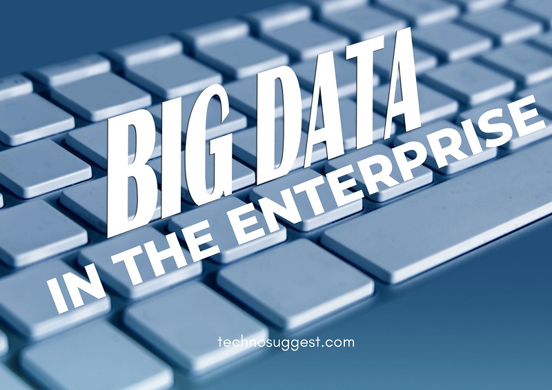 Big Data in the Enterprise