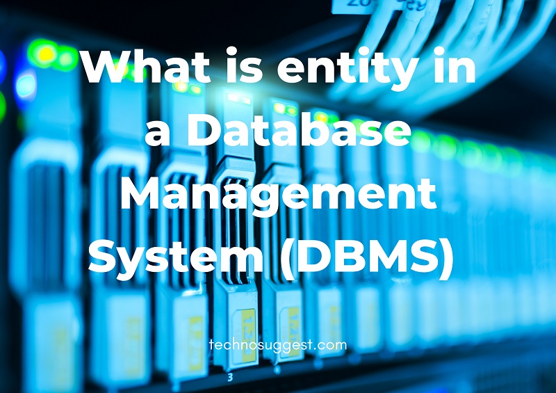 What is entity in a Database Management System (DBMS)